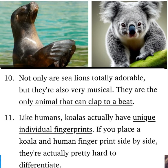 #3 ❤️ Like #4 This one FULL ❤️🦭🐨 - Picture 2 of 16